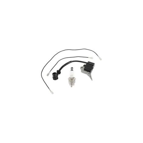 Module de bobine d'allumage, bougie d'allumage adaptée aux pièces de rechange pour tronçonneuse Zenoah/Timberpro /Lawnflite (1/5)