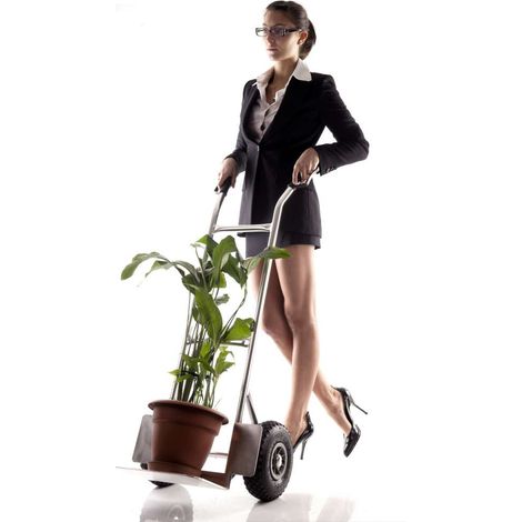 Carrello portatutto in alluminio Misura cm 47x47xH120 portata 150 kg (1/2)
