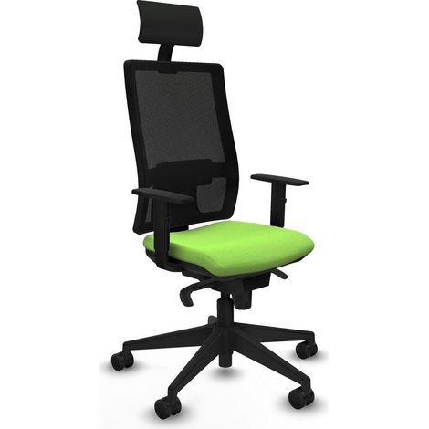 Piqueras et Crespo 1D066N1 Chaise de bureau pistache ergonomique (1/3)