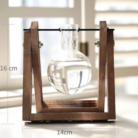 Station de multiplication des plantes avec support en bois, terrarium pour plantes, décoration de bureau à domicile, support en rondins de bois pour jardinage, deux bouteilles (1/5)