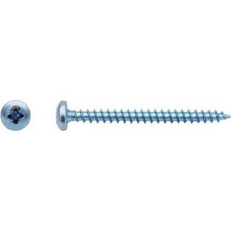 Vis pour panneaux agglomérés tête cylindrique Pozidriv® Zingué - 5 x 20 mm - BIVI (1/2)