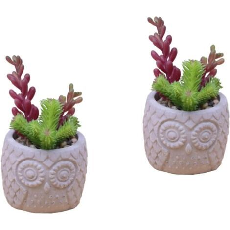 2 Pièces bonsaï Succulent simulé Fake Plants Decoration Interieure Décoration Salon Home Decor Mini Plantes artificielles artificiels Ornement de Bureau Artisanat charnu (1/5)