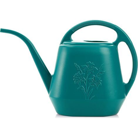 Plastic gieter van 1 gallon, voorzien van een comfortabel handvat, gieter voor tuinieren, met lange tuit, geschikt voor het besproeien van planten binnen en buiten (groen) (1/5)