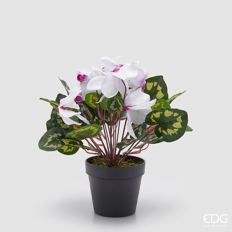 EDG Enzo De Gasperi Pianta Artificiale Ciclamino con Foglie e Vaso H 32 Cm Bianco Viola – Pianta Decorativa Realistica Design Moderno
