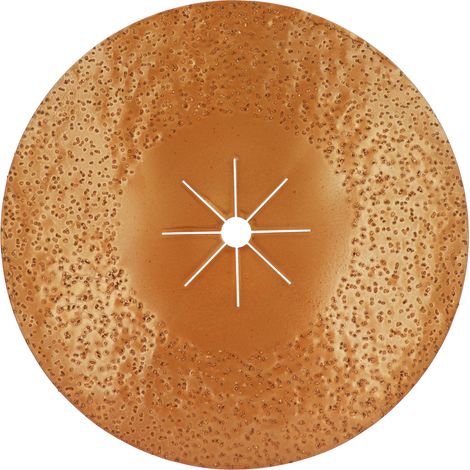 DISQUE DOUBLE FACE SOL 400X25/8 GR24 CAR.TUNGSTENE - 5740024 - LEMAN (1/4)