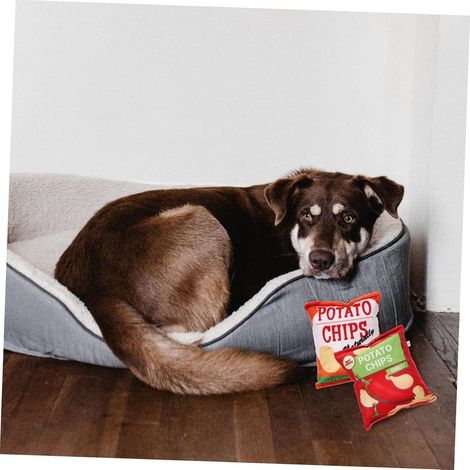 Lot de 2 jouets à mâcher interactifs et résistants pour petits chiens. Ces jouets colorés réduisent le stress et favorisent l'apprentissage. (1/5)