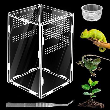 Kit terrario per insetti - 360° - Vetro acrilico - Per rettili e anfibi - Habitat portatile per ragni, scorpioni, coleotteri e insetti femmina - 20 x 12 x 12 cm (1/5)