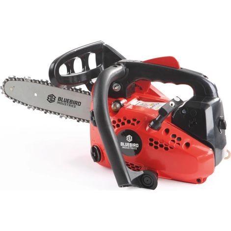 Motosega a scoppio da potatore CS250 barra da 25 cm motore 2 tempi 25,4 cc 880550 BLUE BIRD (1/5)