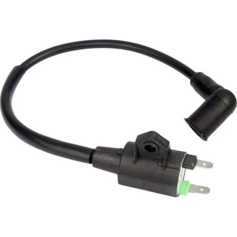 Générateur à essence ET950 ET650, pack haute tension, bobine d'allumage, sac haute tension, accessoires pour générateur (1/3)