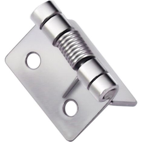 LaBlanc - 2 cerniere a molla autochiudenti, cerniere a molla in acciaio inox 304, cerniere autochiudenti per porte invisibili (5 cm)