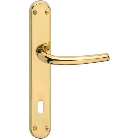 Maniglia con placca ottone oro lucido serie cinzia fb - Salone