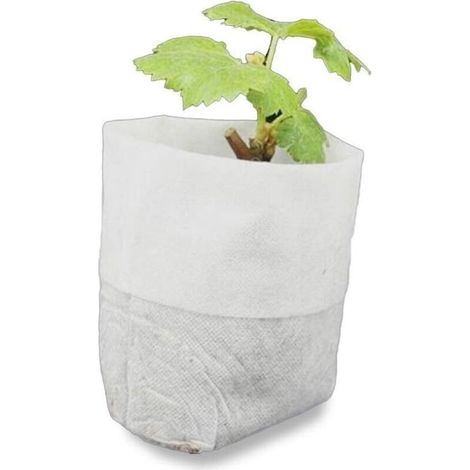 500 biologisch abbaubare Vlies-Saatbeutel für Setzlinge und Jungpflanzen wie Tomaten, Blumen und andere Gewächse – Weiß – 8 × 10 cm (1/5)