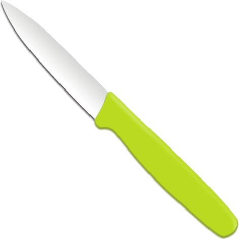 Coltello da cucina a punta 192 mm - verde