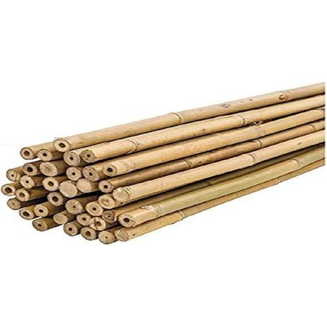 PLANTAWA Canne di Bambù 60 cm Confezione 25 Unità Ø 6-8 mm  Paletti per Piante di Pomodoro, Ortaggi e Alberi  Paletti per Piante di Varie Dimensioni. Resistenti Canne di Bambù