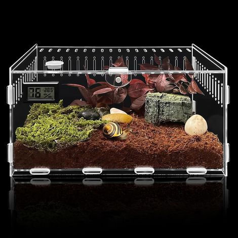 Terrarium en acrylique - 30 x 20 x 15 cm - Transparent - Pour escargots, insectes, araignées sauteuses, gecko (1/5)