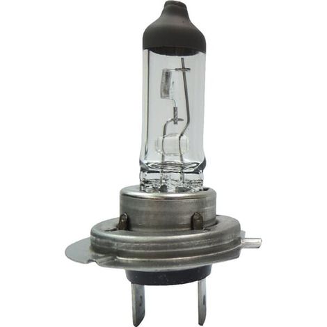 Ampoule UNIVERSEL B2438 (1/2)