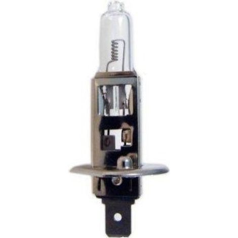 1 Ampoule H1 24V 70W P14.5s x10 - Ampoule halogene de phare