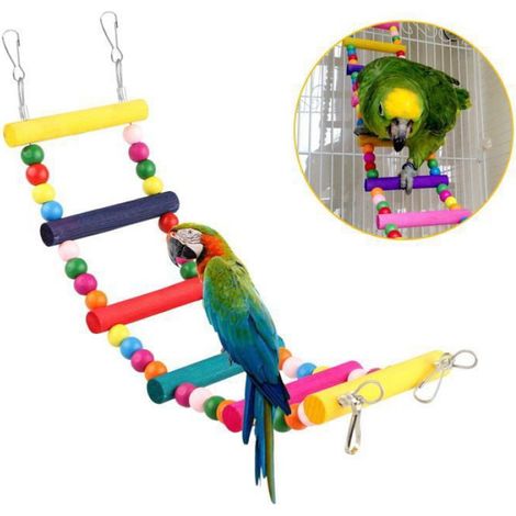 Accessoires pour cages oiseaux perchoir color plateforme chelle et hamac pour petits oiseaux et perroquets Label (1/4)