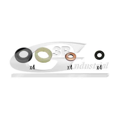 3RG 86219 KIT INYECCION (16PCS)