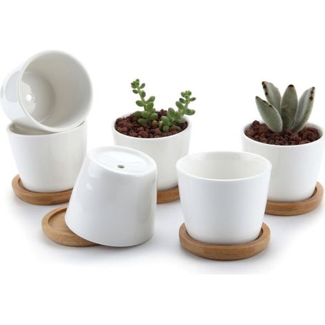 Pots à succulentes en céramique blanche de 6,5 cm avec soucoupe en bambou, lot de 6, pots pour cactus et plantes grasses, cadeau idéal pour un anniversaire ou un mariage.