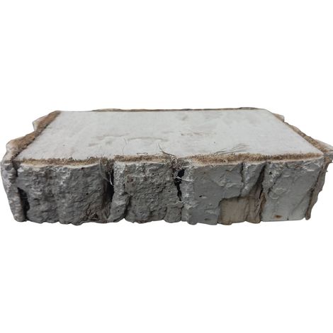 Base Legno Rettangolare 30x20 cm h 5cm con Corteccia Bianca Fetta di Betulla per Decoupage Fai da Te Centrotavola Artigianale Vassoio Shabby Chic Decorazioni (1/5)