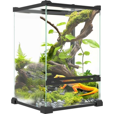 Terrario in vetro per rettili, vivarium da 12 L con coperchio in rete metallica, 20 x 20 x 30 cm, nero (1/5)