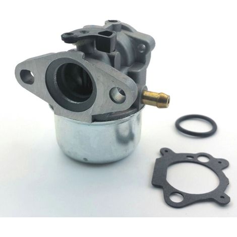 Carburateur pour moteurs BRIGGS & STRATTON [799868, 498170, 497586, 498254 497347] (1/4)