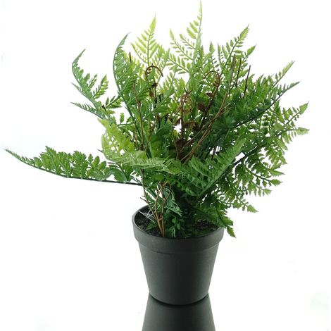 DPI – Petite fougère artificielle en pot plastique gris – Vert et brun, pot Ø 12,5 cm (1/2)