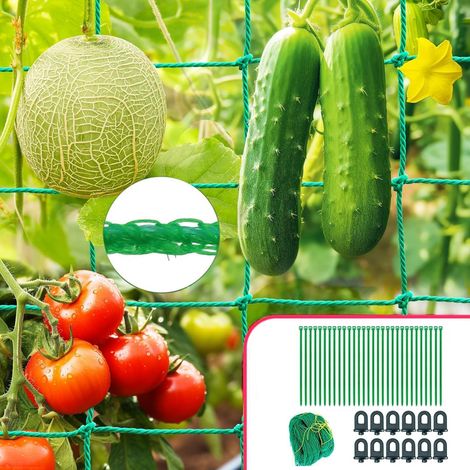 1 Filet Plantes Grimpantes 2x5M, Nylon Résistant, 50 Liens, 25 Clips, Jardin Potager Extérieur