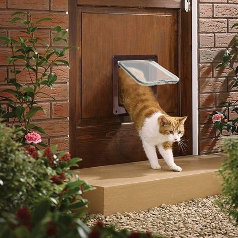 Chatière pour Chat Chiens Petit Chatière Porte Puce 4 Voies verrouillable Facile à Installer.// (1/4)