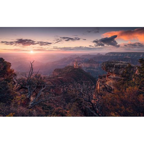 Papier peint panoramique naturel Grande Vue (1/4)