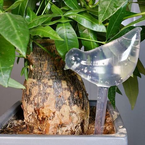 Globe D'arrosage - PVC Transparent - Arrosage Automatique Pour Plantes Intérieures Et Extérieures - Durée Jusqu'à 14 Jours - Lot De 4 (1/5)