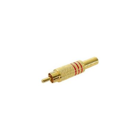 SPINA RCA MASCHIO - ORO - ROSSO