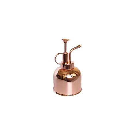 (Or rose, 300 ml) Vaporisateur pour plantes en acier inoxydable Petit arrosoir Outils de jardinage modernes pour plantes d'intérieur en pot Arrosage et pulvérisation