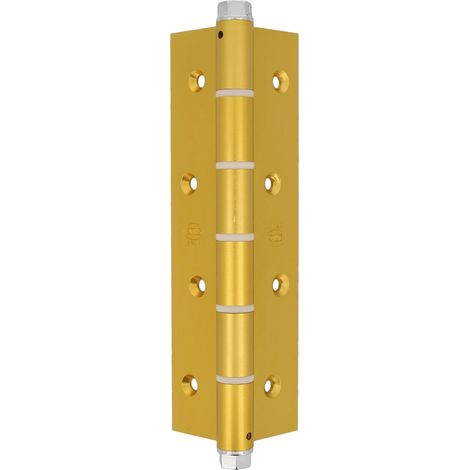 AMIG Charnière va-et-vient simple action 3034 180 x 80 x 4 mm Aluminium Or (1/5)