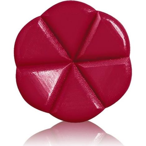 Cire à fondre parfumée (capsules) - JUANIO - 110 capsules - Pomme au four - Parfum longue durée - Rouge (1/3)