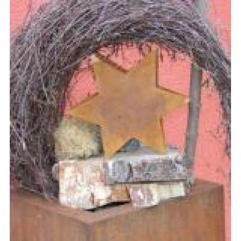 Étoile de Noël Décorative en Métal Rouillé à Remplir Déco de Jardin et Table Vintage - PANGIVO