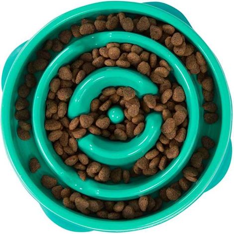 Petages Comedero Slow Turquoise M 24.1x20,3x7cm (1/5)