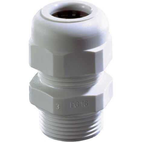 N/A Wiska SKV PG 21 RAL 9005 10066196 PG21 Polyamide noir 1 pc(s) (1/4)