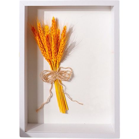photo de 25 cm 10 pouces avec fleurs séchées roses en papier