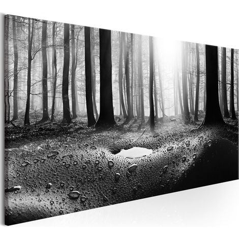 Quadro - Forest after Rain (1 Part) Narrow - 150x50 (1/4)