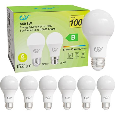 Ampoule LED E27 Classe B, 8 W (équivalent 100W),1521 lumens 6500K Blanc Froid,A60 Ampoules E27 LED Efficacité Energétiqu,Non-Dimmable, 6 Unité (Lot de 1) (1/5)