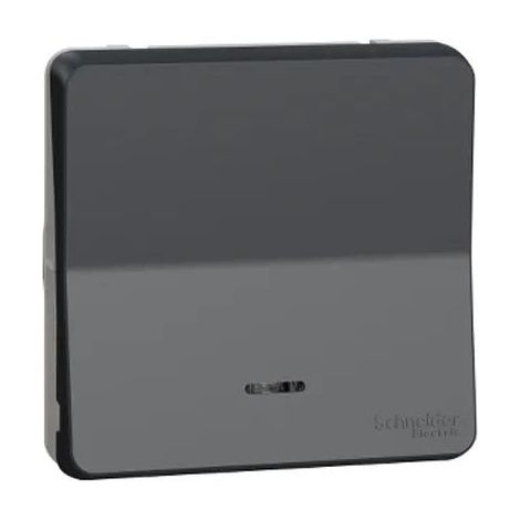 Schneider Electric Mureva Styl Wandschalter