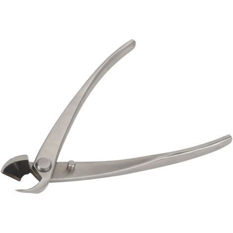 Ciseaux Obliques en Acier Inoxydable 165mm pour Création de Bonsaïs de Qualité Supérieure - (1/5)