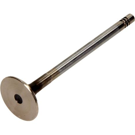 SOUPAPE D'ÉCHAPPEMENT FRECCIA VW 2.0 16V