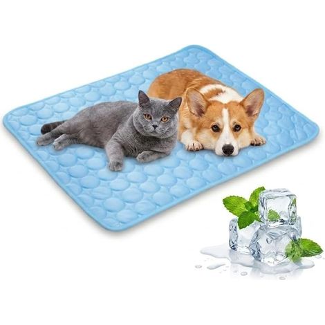 Tapis de Rafraichissant Chat, Durable Tapis Refroidissant pour Chat Portable, Couverture Rafraichissante Chiens Chaleur Matelas Réfrigérant Animaux, Lavable, Anti-Morsures (1/5)