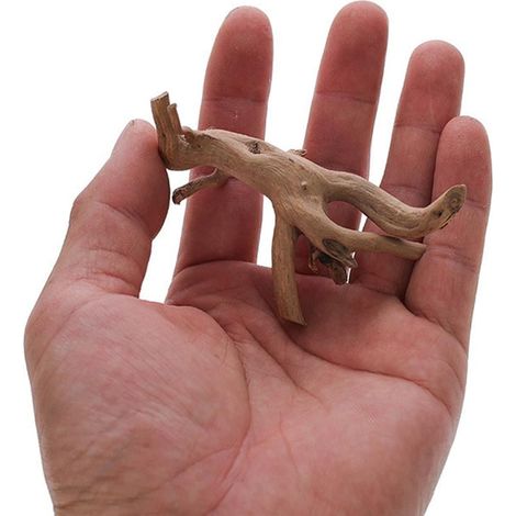 Driftwood - Bois Naturel Pour Aquarium - Décor Aquatique Pour Paysage Sous-Marin - Tailles Variées 8 À 25 Cm - 1 Pièce (1/5)