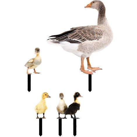 5er-Set dekorative Gartenstecker, 3D-Enten-Gartenstecker, Acryl-Gartenschilder, Skulptur