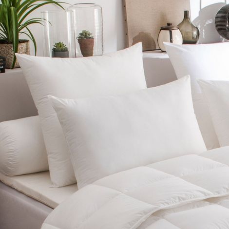Dodo – Lot de 2 oreillers maxiconfort 60x60cm – Enveloppe percale – Garnissage fibre Thermolite ultra – Fabriqué en France