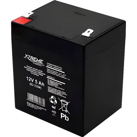 Batterie Gel rechargeable 12V 5Ah - - AGM - Sans entretien et sans fuite